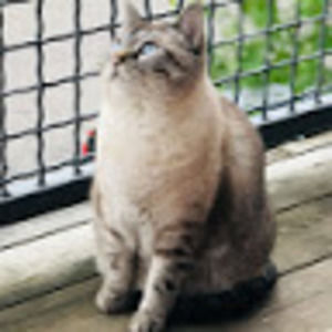 Meet your Posher, Shawn